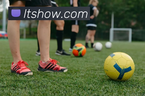 多媒体互动体验